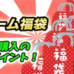福袋ってお得?購入時のポイントと、お店の特徴【ネタバレあり】